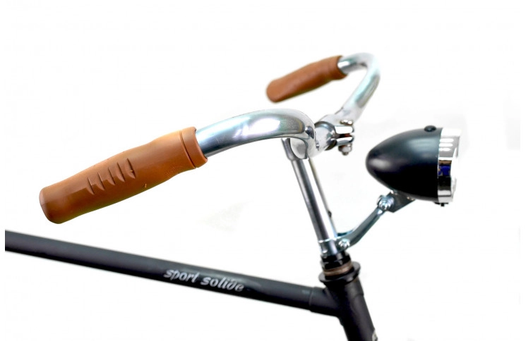 Man`s bike Gazelle Sport Solide