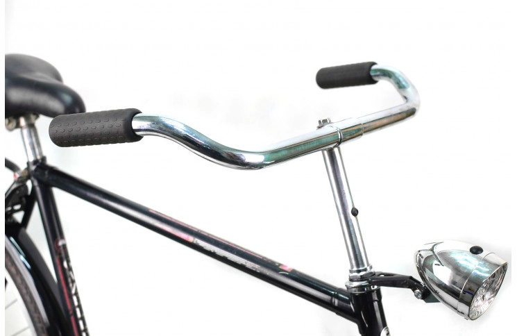 Woman`s bike Gazelle Basic