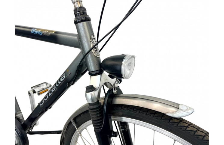 Man's bicycle Gazelle Davos 28" L/57