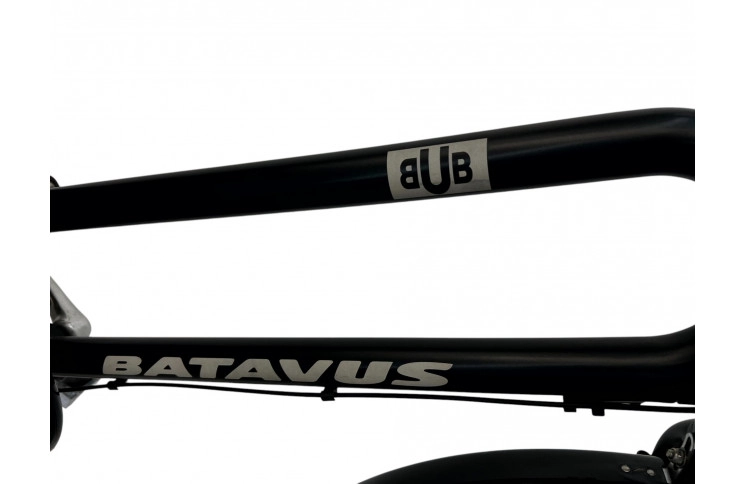 Woman's bicycle Batavus Bub 28" L/56