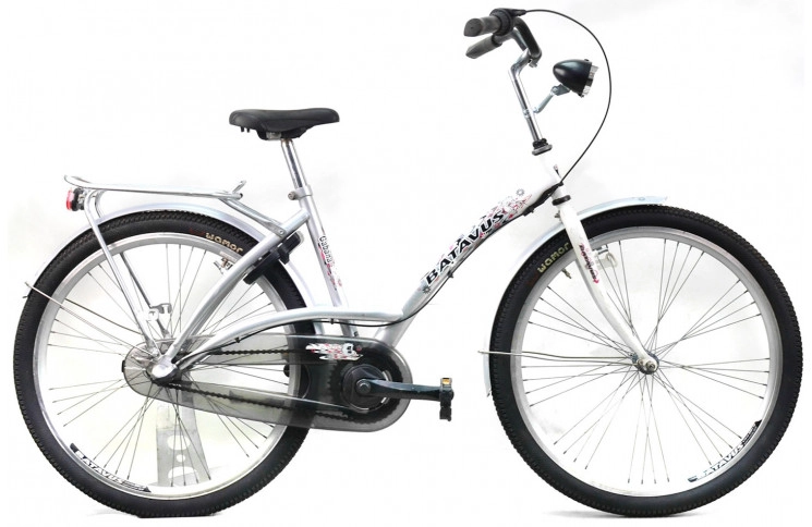 Woman`s bike Batavus Gabana