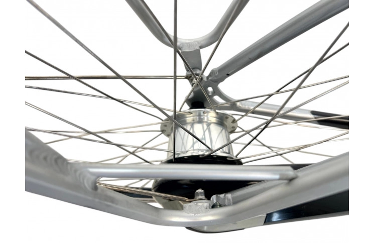 Woman's bicycle E-bike Gazelle GoldLine 28" 53cm (36V 9Ah 324Wh)