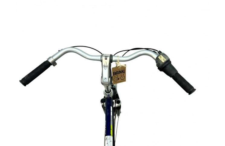 Man's bicycle Gazelle Chamonix 28"/65cm/blue