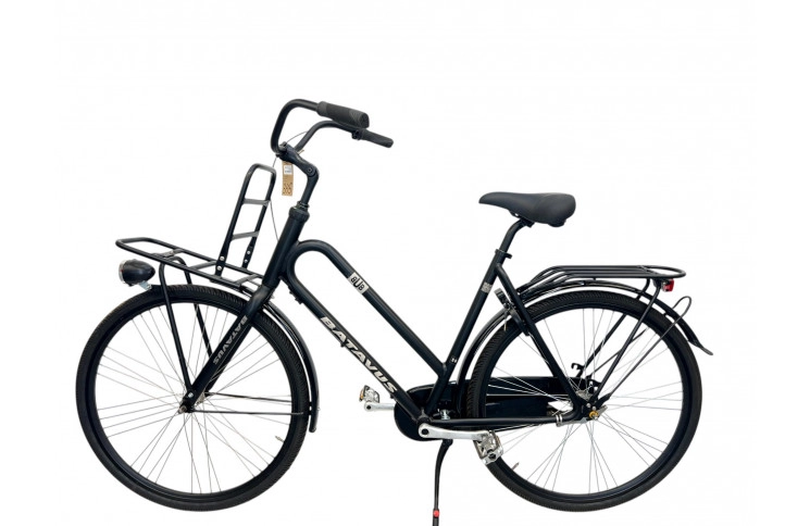 Woman's bicycle Batavus Bub 28" L/56