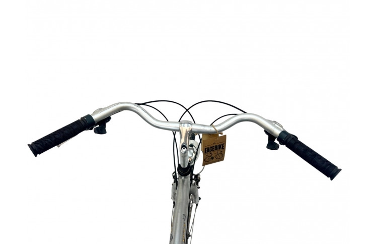 Herenfiets Batavus Sloux 28" 57