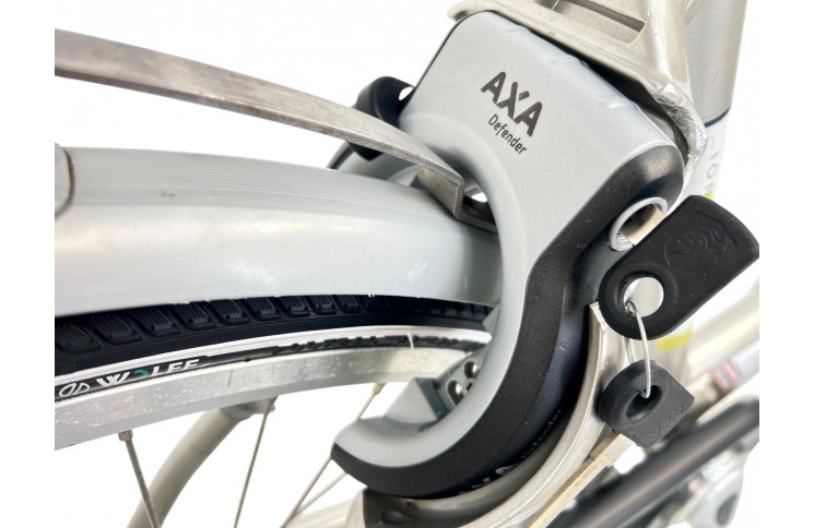 Woman's bicycle Sparta IONRX D/al/grijs/28/stad/f53cm