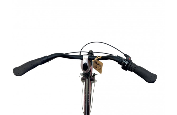 Damesfiets Batavus Kameleon green/26/w/sity/st/f43cm