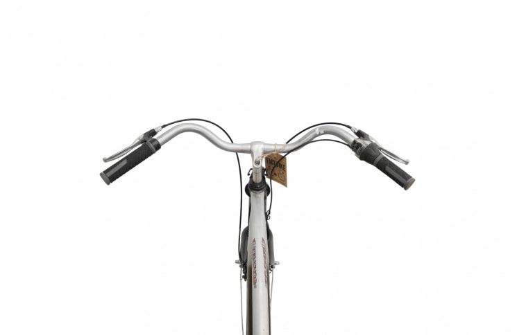 Man's bicycle Sparta Marathon 28"/60cm/Gray