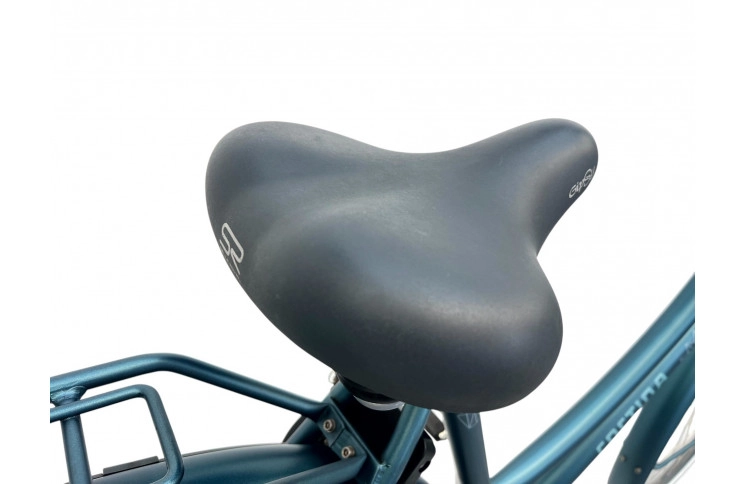 Woman's bicycle Cortina Roots w/al/sity/28/blue/f55