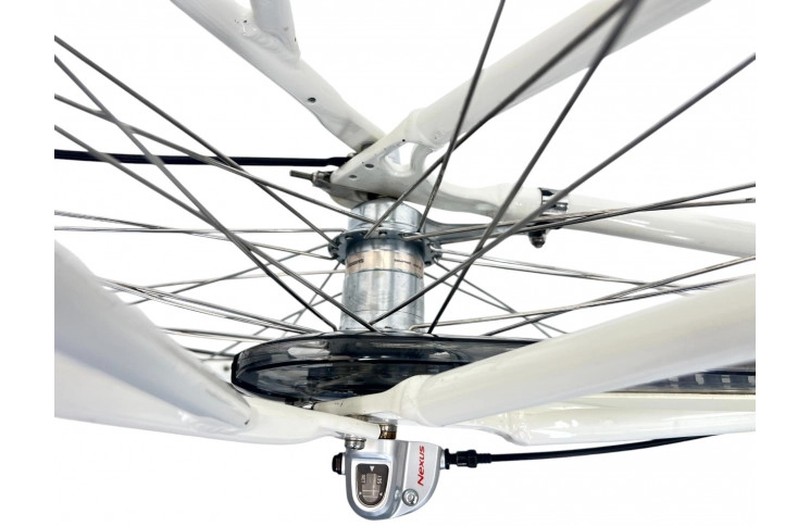 Woman's bicycle Batavus Diva 28" 50