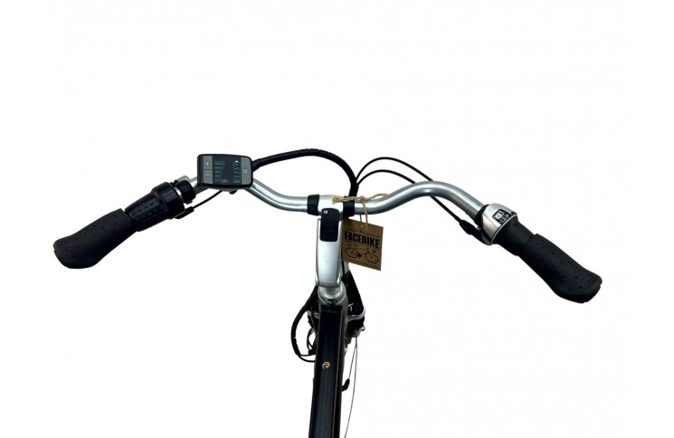 E-Bike Batavus Genova 28"/57cm/black/36V 389Wh 10.8Ah