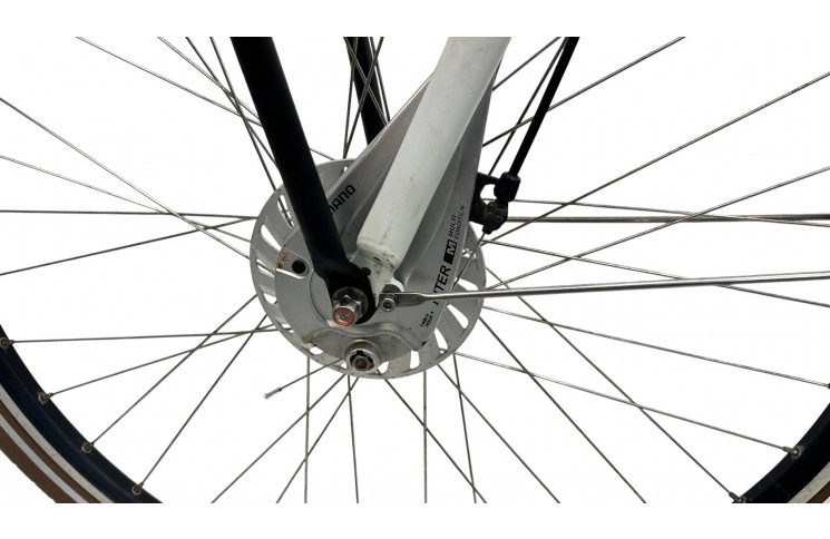 Woman's bicycle Gazelle Miss Grace 28"/54cm/White