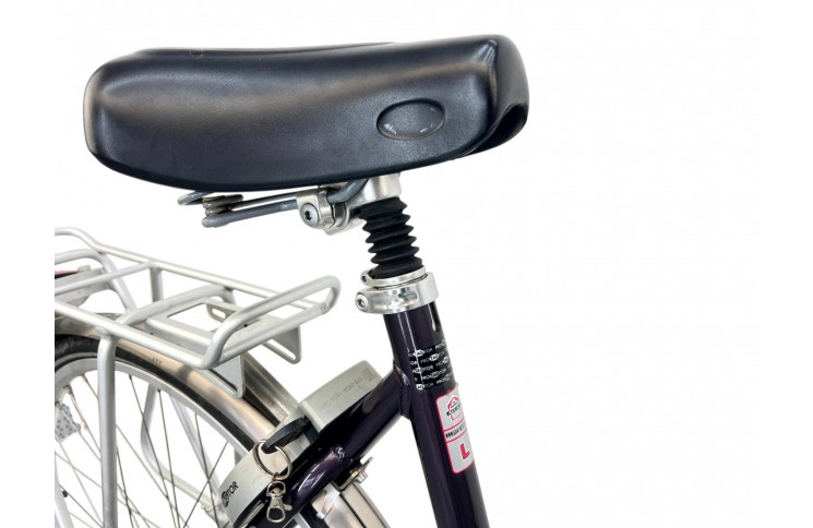 Woman's bicycle Giant w/grey/28/al/sity/56