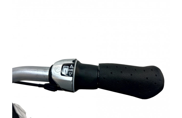 E-Bike Batavus Genova 28"/57cm/black/36V 389Wh 10.8Ah