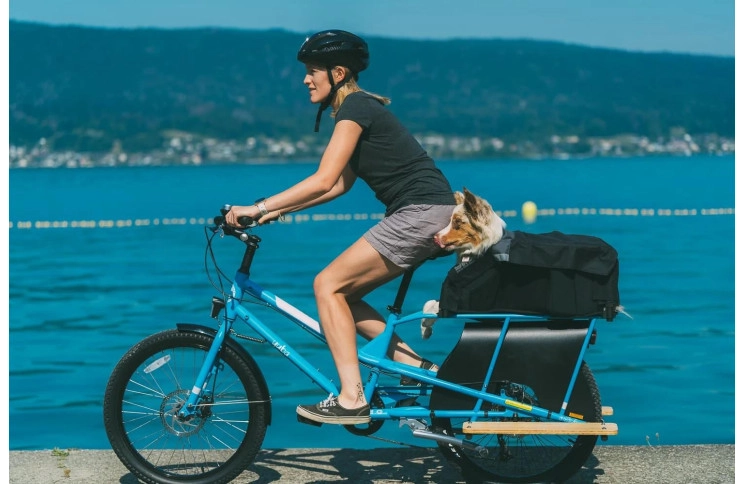 Compact Yuba Kombi Family Edition 24" Blauw 2024