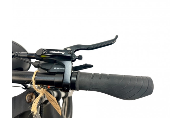 DIABLO E-BIKE, FAT BOY, MATT-BLACK/BLACK, 15,6AH 48V 748,8WH