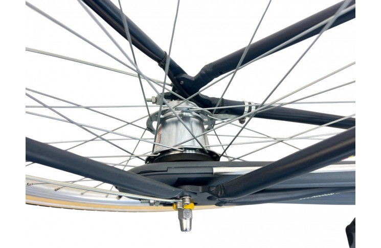 Damesfiets Prophete Genieser 20.BTC.20 28"/48cm/blauw