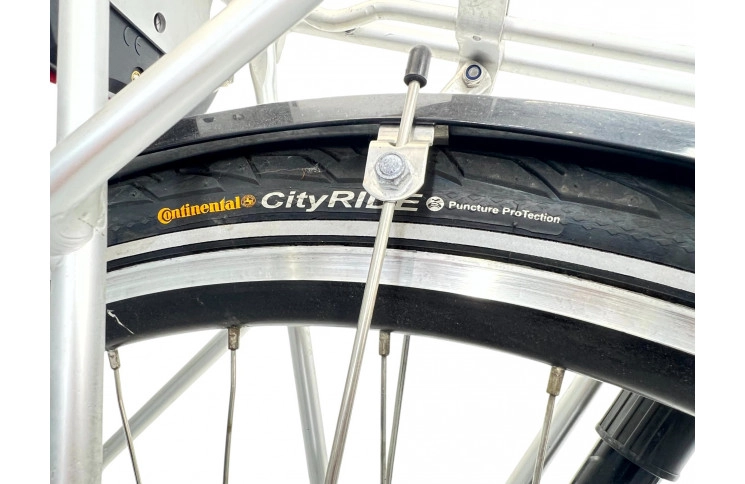 Woman's bicycle Intersens TS 401 28" 50