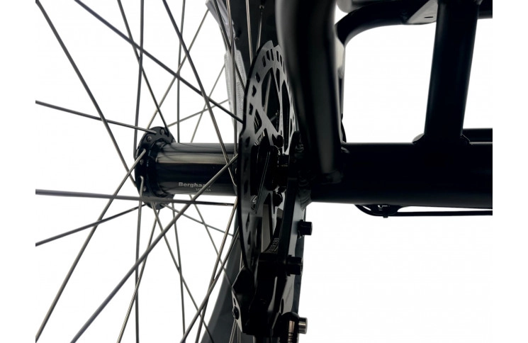 DIABLO E-BIKE, BIG FOOT, MATT-BLACK, 2x 1000692 ACCU 48V 10.4AH  499,2WH