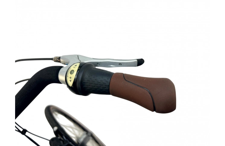 Woman's bicycle Gazelle Bloom 28"/53cm/black