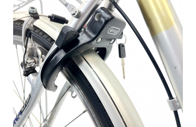 Damesfiets Pegasus Verona 28" 48