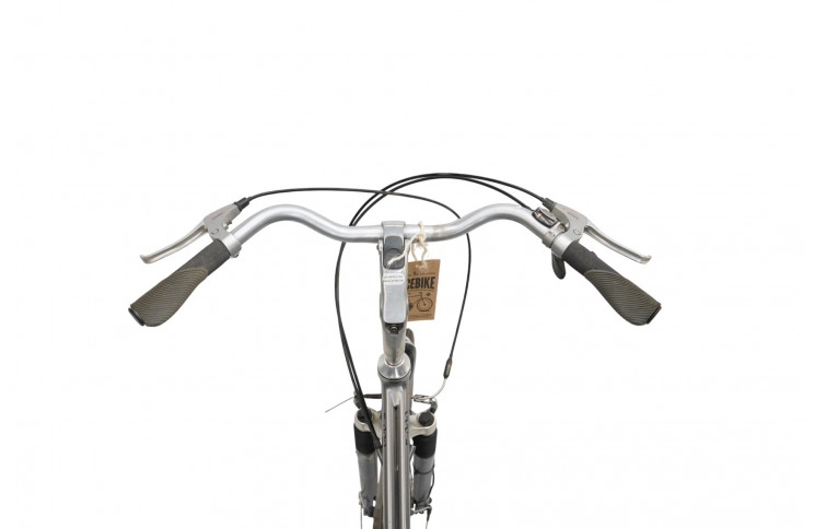 Woman's bicycle RiH Z-900 28"/54cm/Gray