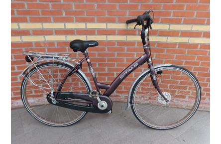 Woman's bicycle Batavus Future