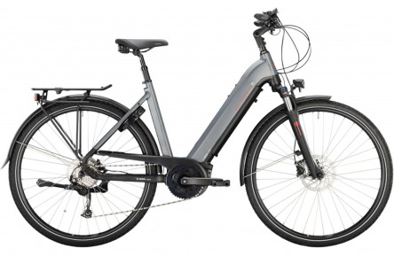 VICTORIA Elektrische trekkingfiets eTrekking 12.6 28"/46cm-S/9/carbonietgrijs mat/02976801