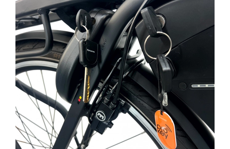 Woman's E-bike 28" Prophete Geniesser 22.ETC.10, 49