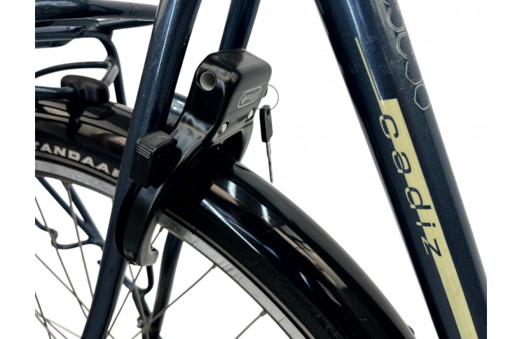 Man's bicycle Gazelle Cadiz 28" XL/61 blue