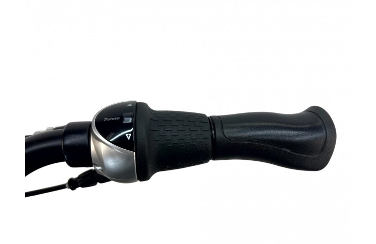 Woman's bicycle Batavus Dinsdag 28"/54cm/Black