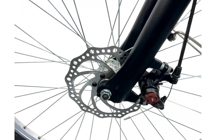 Woman's bicycle Batavus Inspirie 28"/61cm/Black