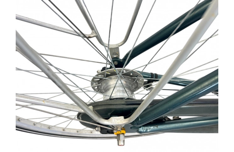 Women's bike Gazelle Davos 28" L/54 green