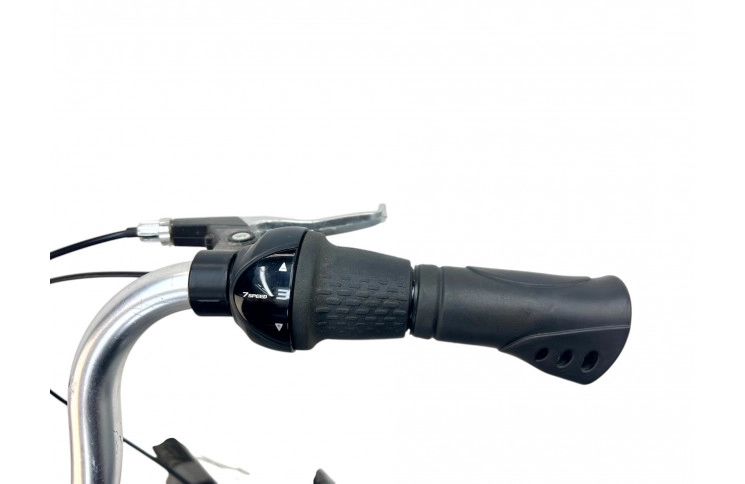 Damesfiets Raleigh 28" 54 cm grijs