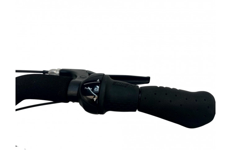 Damesfiets BSP Transport 28" S/51 zwart matt H125875KT