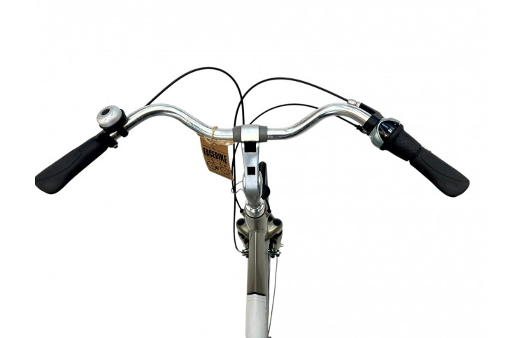 Woman's bicycle Sparta IONRX D/al/grijs/28/stad/f53cm