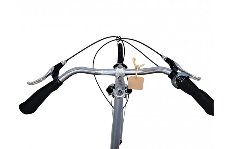 Woman's bicycle Altra Voyager 28"/50cm/blue