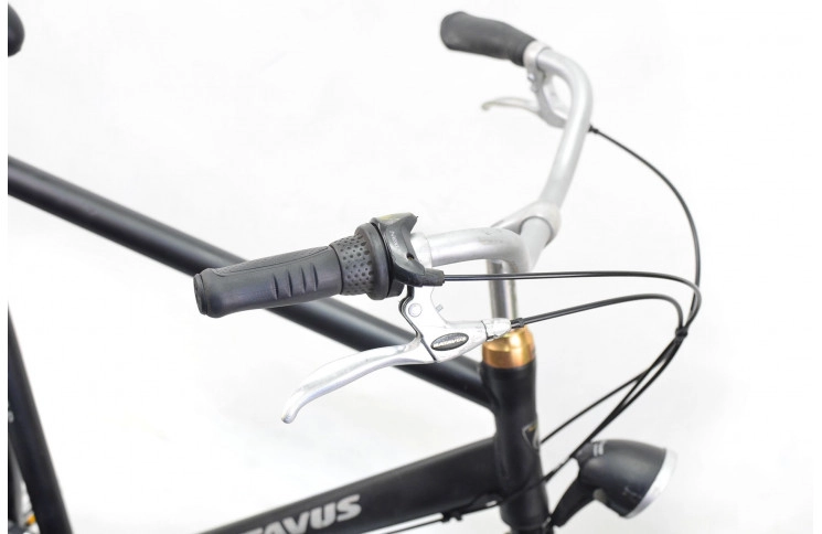 Men's bicycle Batavus Blockbuster 28" 62 black