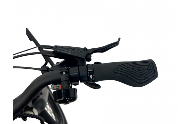 VOGUE E-BIKE WONDER MATT FASHION GREY, 2 accu  9.6/12.8AH