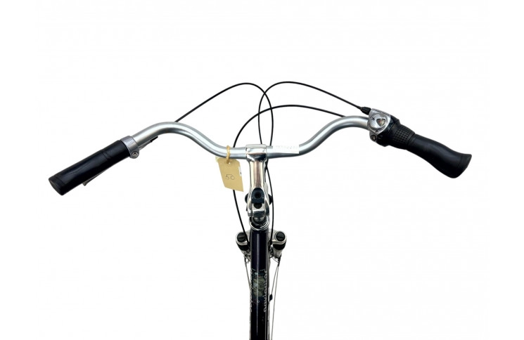 Woman's bicycle Altra Navigator w/al/28/sity/silver/50cm