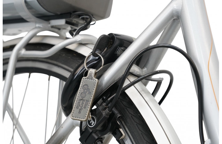 E-Bike Batavus Wayz 28"/53cm/Gray/522Wh 36V 14.5Ah