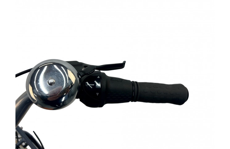 Damesfiets Prophete Genieser 20.BTC.20 28"/48cm/blauw