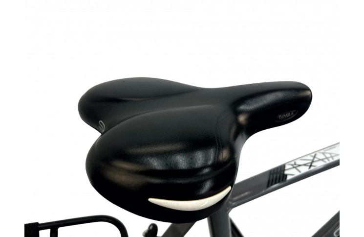 Herenfiets Gazelle Chamonix C7 m/al/sity/grey/28/f61