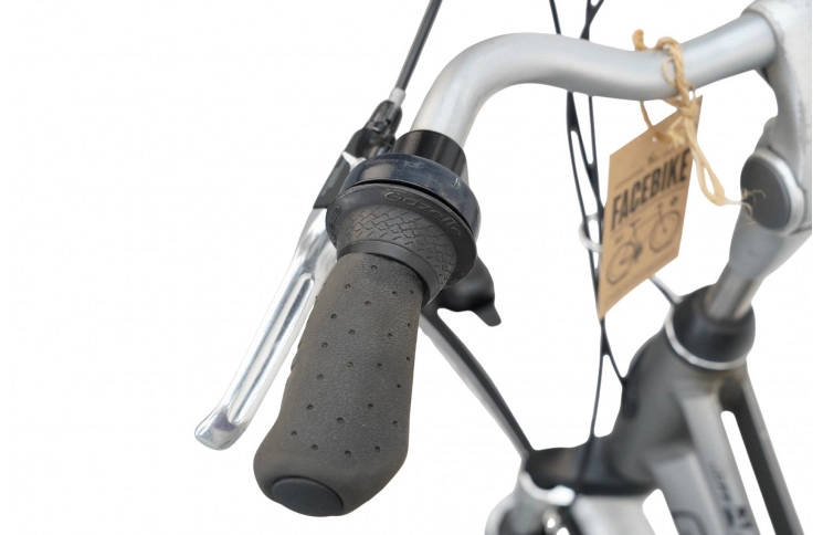 Woman's bicycle Gazelle Paris 28"/57cm/gray