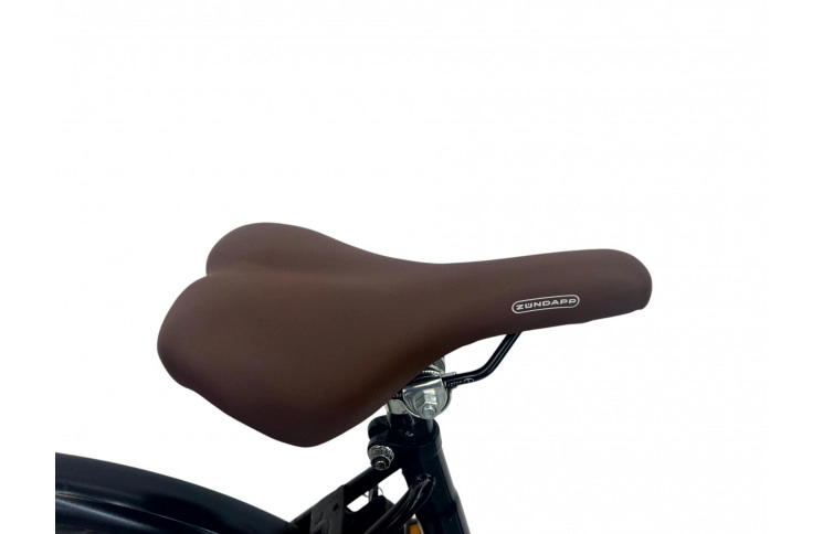 Damesfiets Nederland 28" 48