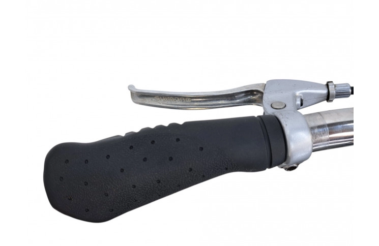 Man's bicycle Gazelle Impala 28"/61cm/blue