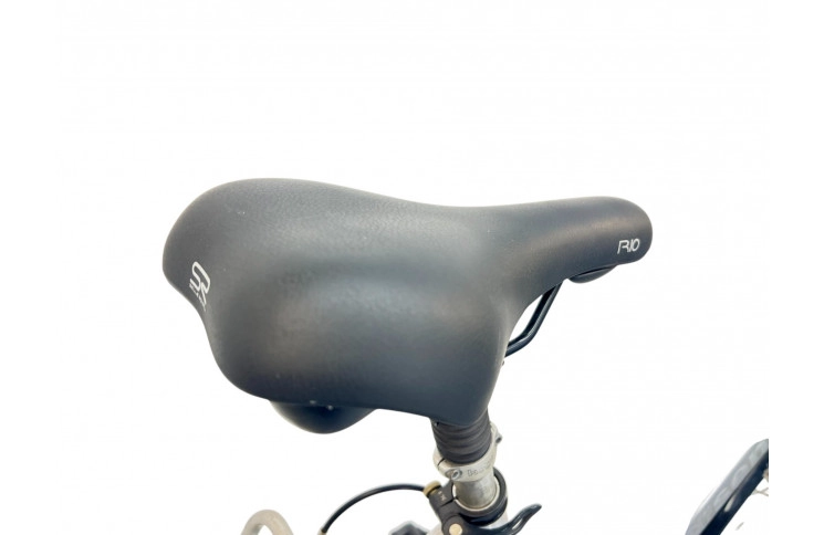 Woman's bicycle Intersens TS 401 28" 50