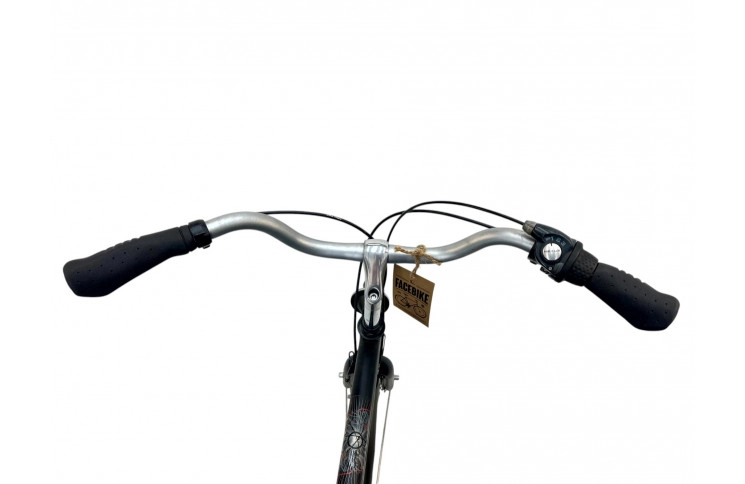 Man's bicycle Batavus Live 28" L/57