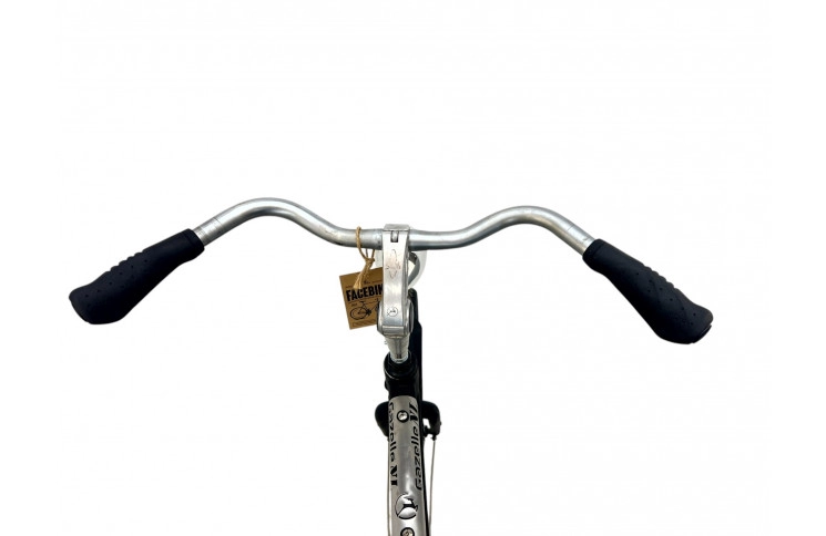 Man's bicycle Gazelle NL 28"/60cm/black