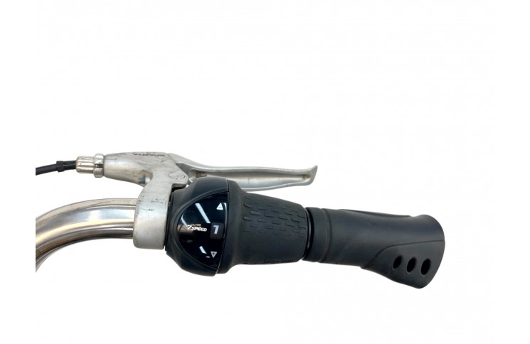 Man's bicycle Sparta Pickup 28" XXL/65cm